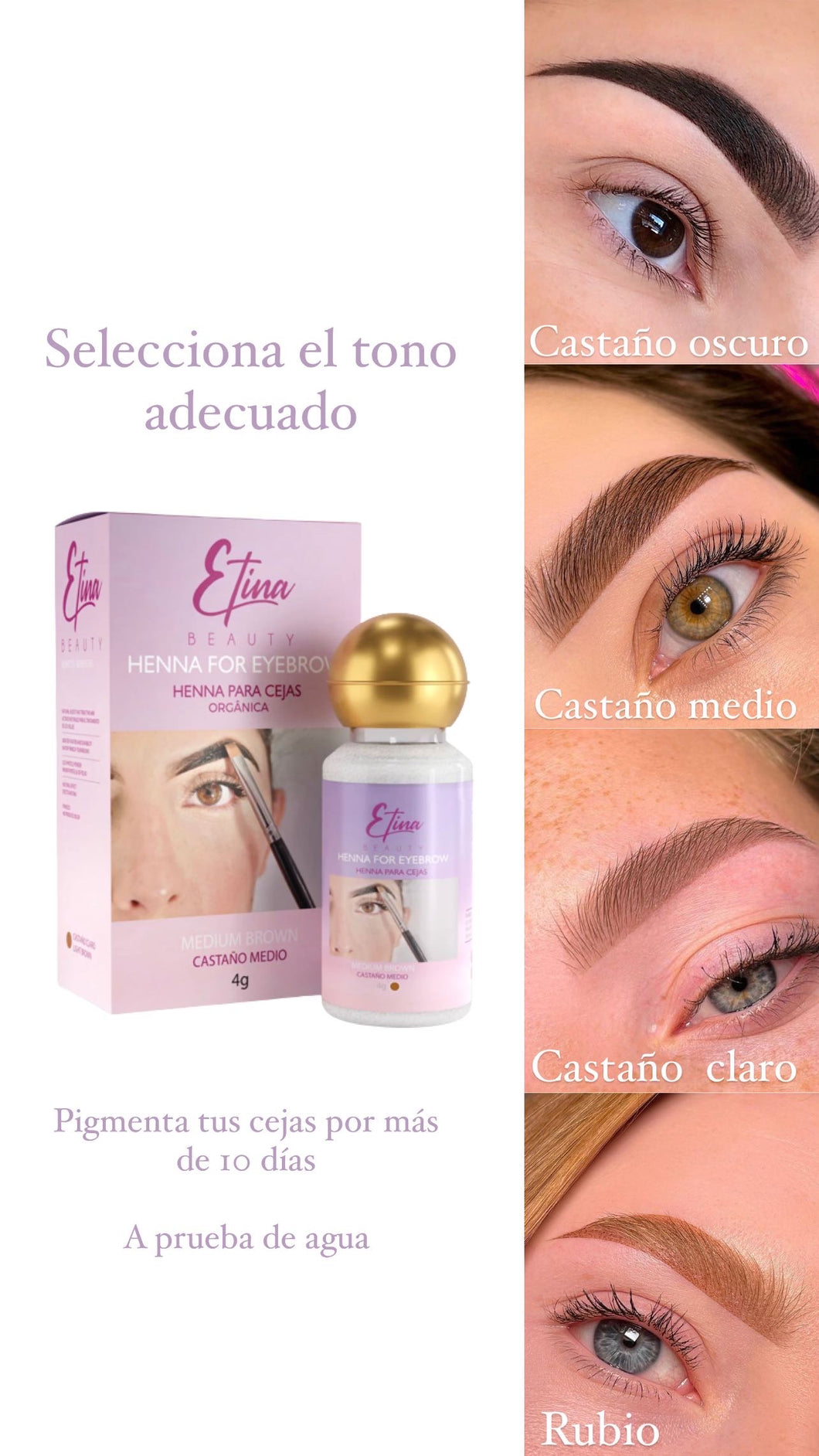 PIGMENTACIÓN PARA CEJAS